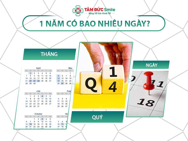 Một năm có bao nhiêu ngày? Tìm hiểu về năm thường, năm nhuận và lịch dương