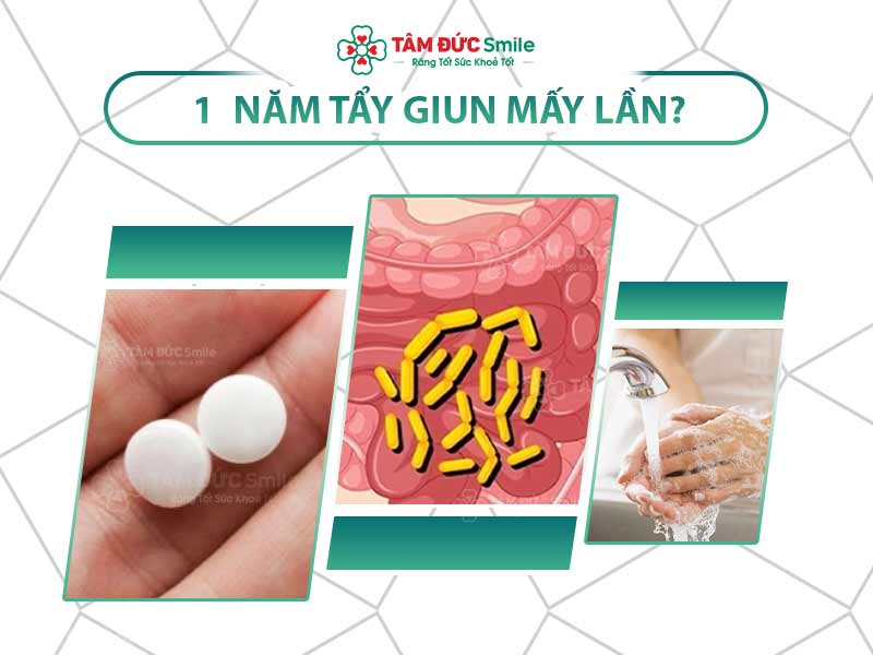 Sổ giun 1 năm mấy lần? Tần suất, thời điểm, cách dùng thuốc an toàn cho cả nhà