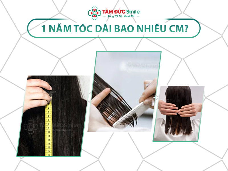 Tóc dài bao nhiêu cm sau 1 năm? 15 yếu tố ảnh hưởng tốc độ mọc tóc tự nhiên