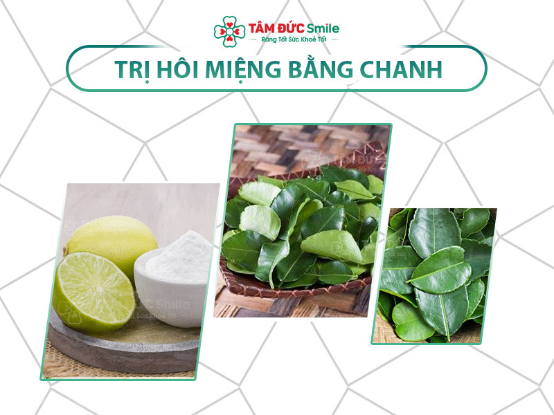 Trị hôi miệng bằng lá chanh: Tác dụng khử mùi miệng hiệu quả tại nhà