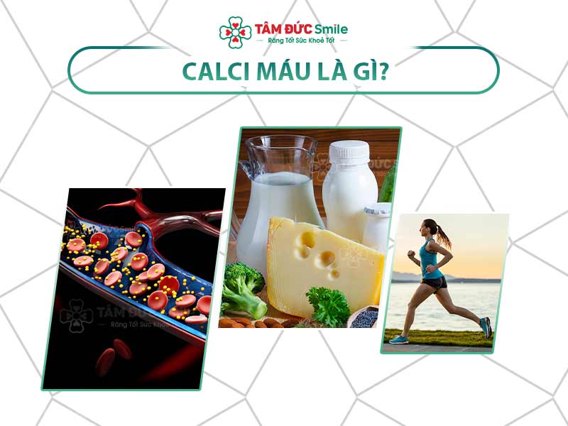 Canxi máu: Vai trò, triệu chứng bất thường và ảnh hưởng đến sức khỏe răng miệng