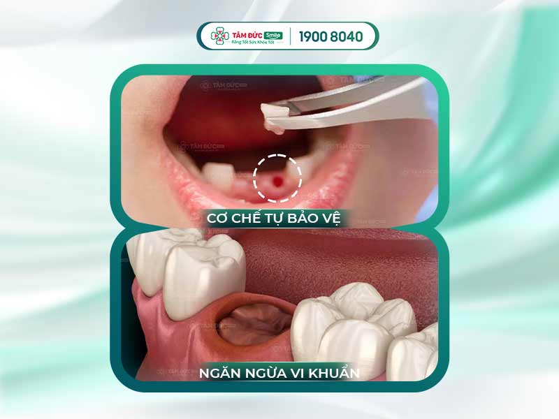 Cục máu đông: Dấu hiệu, nguyên nhân, biến chứng và cách điều trị hiệu quả