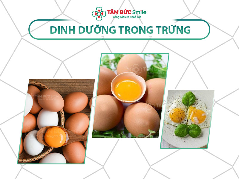 Thành phần dinh dưỡng trong trứng gà: Lợi ích, calo, vitamin và protein