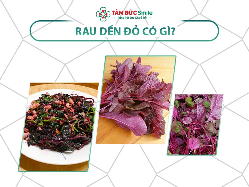 Dinh dưỡng trong rau dền đỏ: Lợi ích, vitamin và cách sử dụng hiệu quả