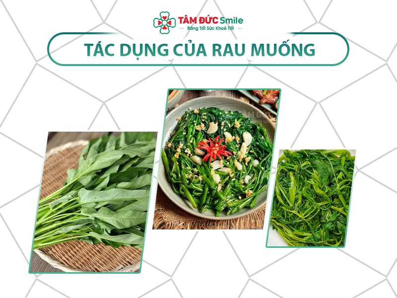 Dinh dưỡng trong rau muống: Giá trị sức khỏe, calo, chất xơ và tác dụng nổi bật