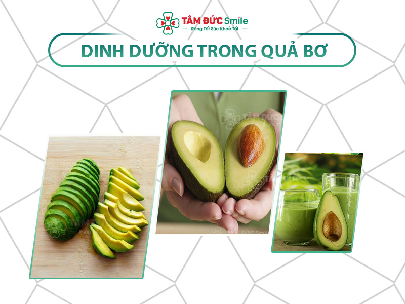 Giá trị dinh dưỡng từ quả bơ: Lợi ích sức khỏe, vitamin và chất chống oxy hóa