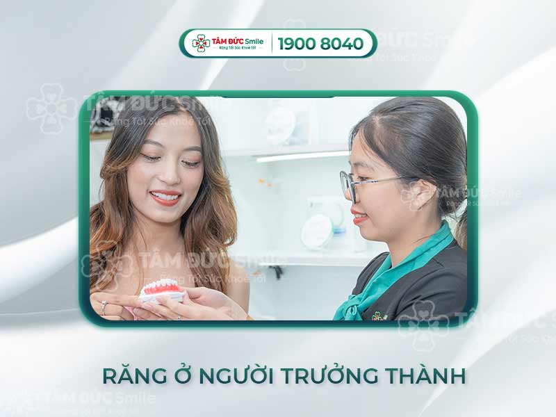 Con người có bao nhiêu cái răng? Tìm hiểu răng sữa, răng vĩnh viễn và răng khôn