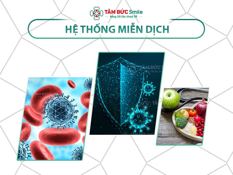 Hệ miễn dịch là gì? Cách tăng cường miễn dịch hiệu quả