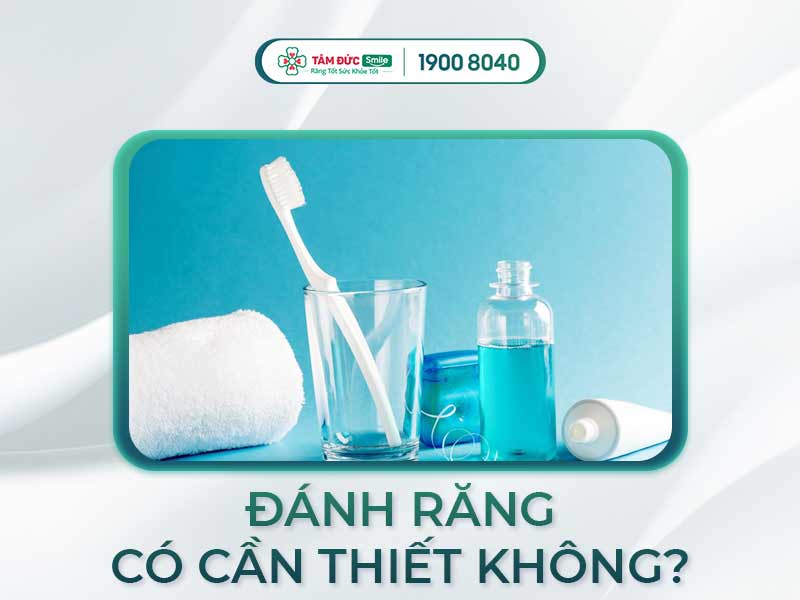 Tác hại của việc không đánh răng trước khi đi ngủ và cách bảo vệ răng miệng