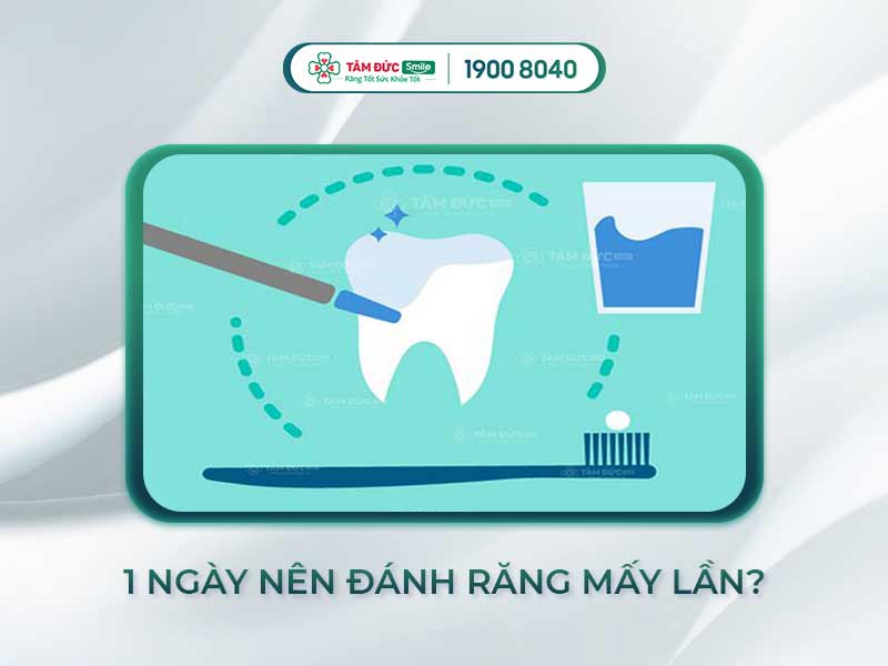 1 ngày đánh răng mấy lần là tốt? Tần suất lý tưởng bảo vệ răng miệng mỗi ngày