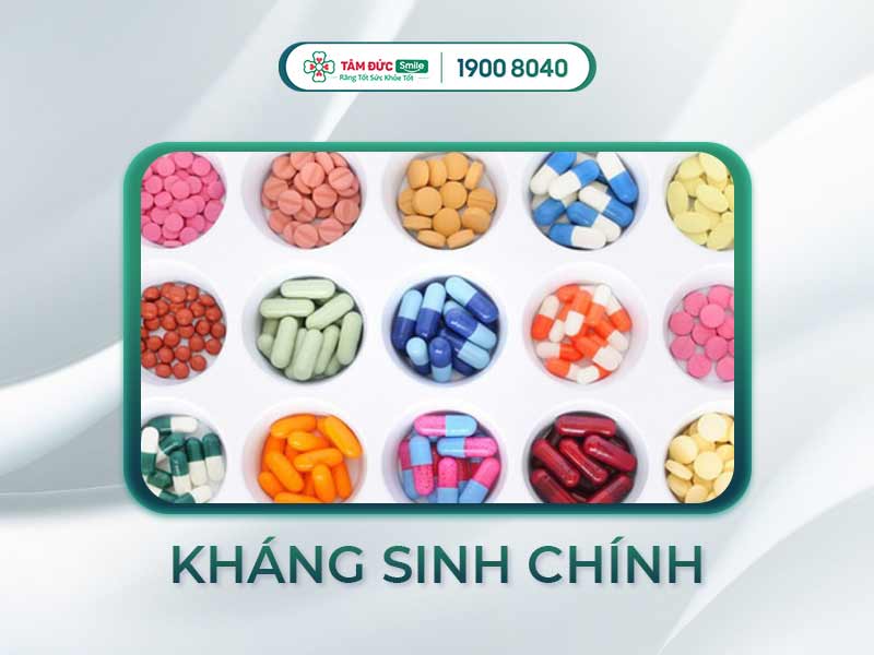 Phân loại các nhóm kháng sinh phổ biến: beta-lactam, macrolid, quinolon, tetracyclin