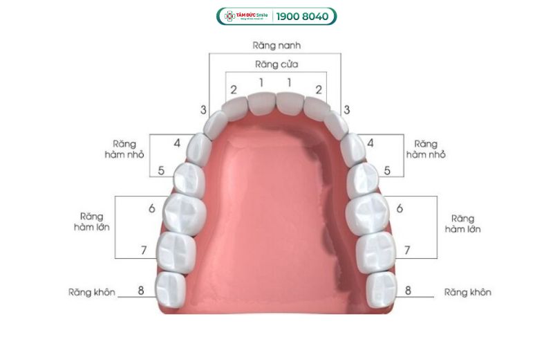 rang-so-6-1