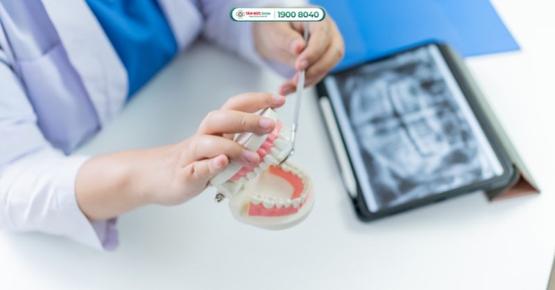Sơ đồ răng người lớn, trẻ em: Vị trí răng, số thứ tự, chức năng từng răng