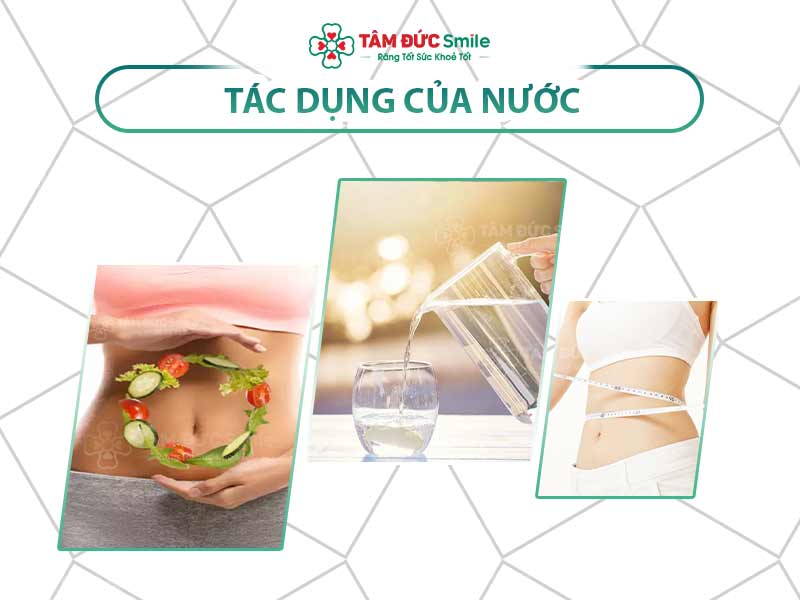 Vai trò của nước đối với cơ thể người: Lợi ích toàn diện cho sức khoẻ và nha khoa
