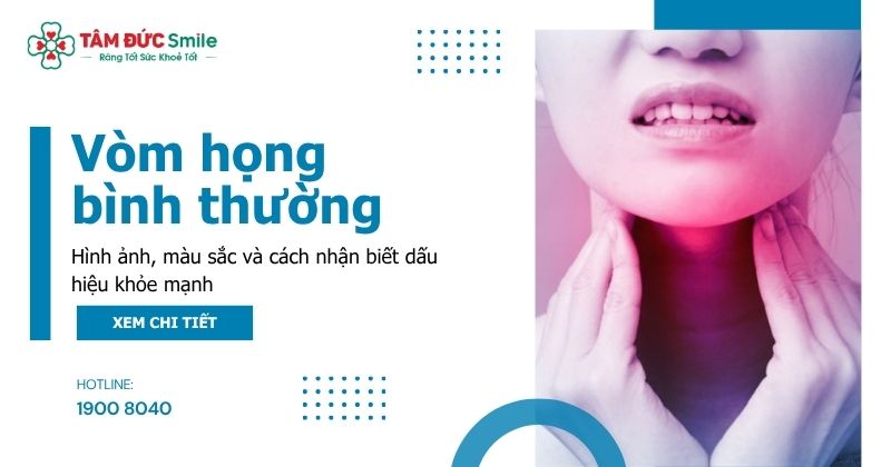 Vòm họng bình thường: Hình ảnh, màu sắc và cách nhận biết dấu hiệu khỏe mạnh